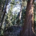 USA-West_046