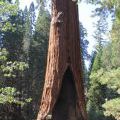 USA-West_047