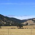 USA-West_053