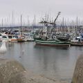 USA-West_056