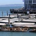 USA-West_146