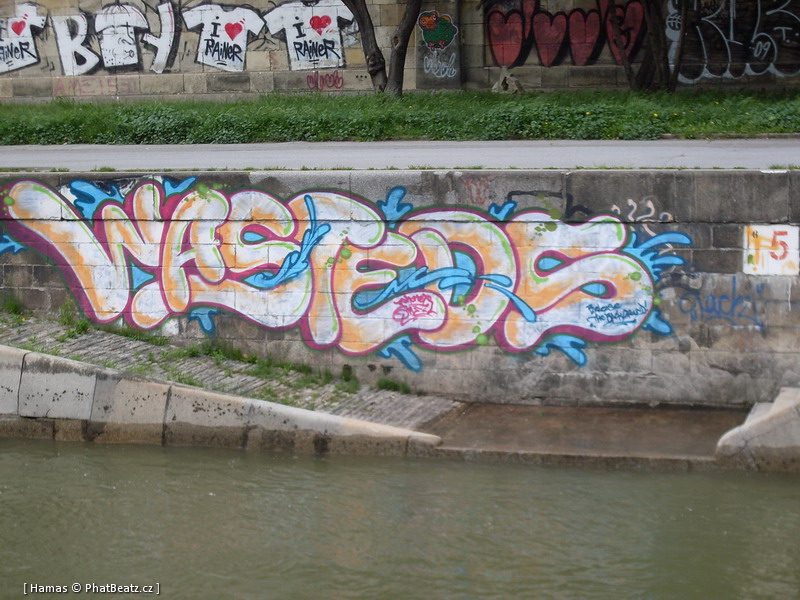 Viden_01