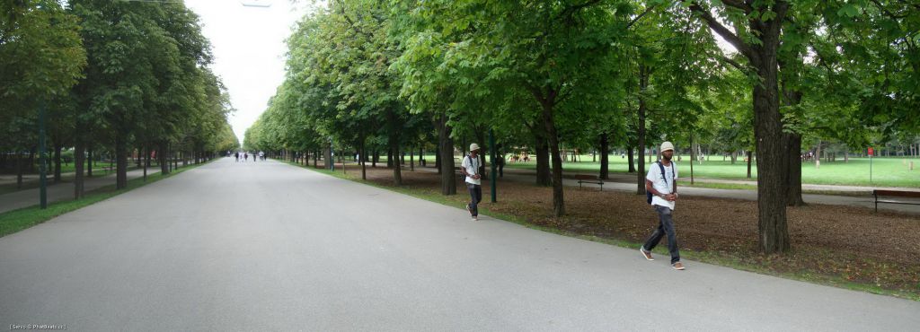 Viden_78 Viden_78