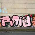 beranek_029
