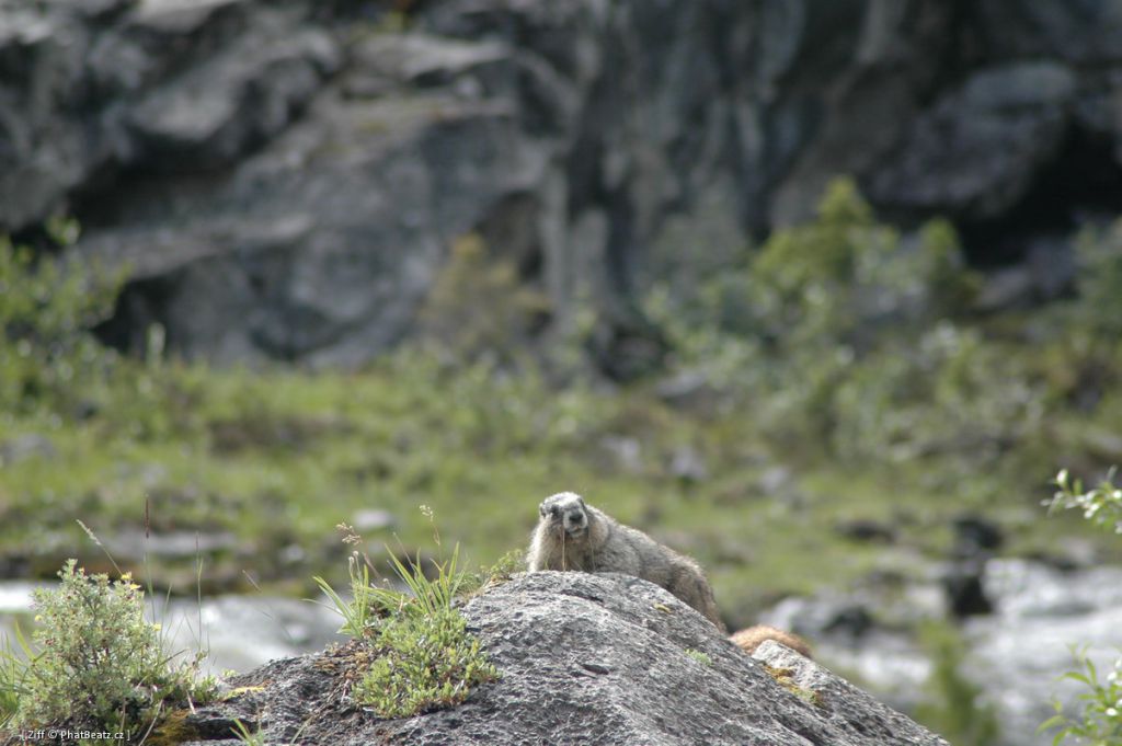 canada_010