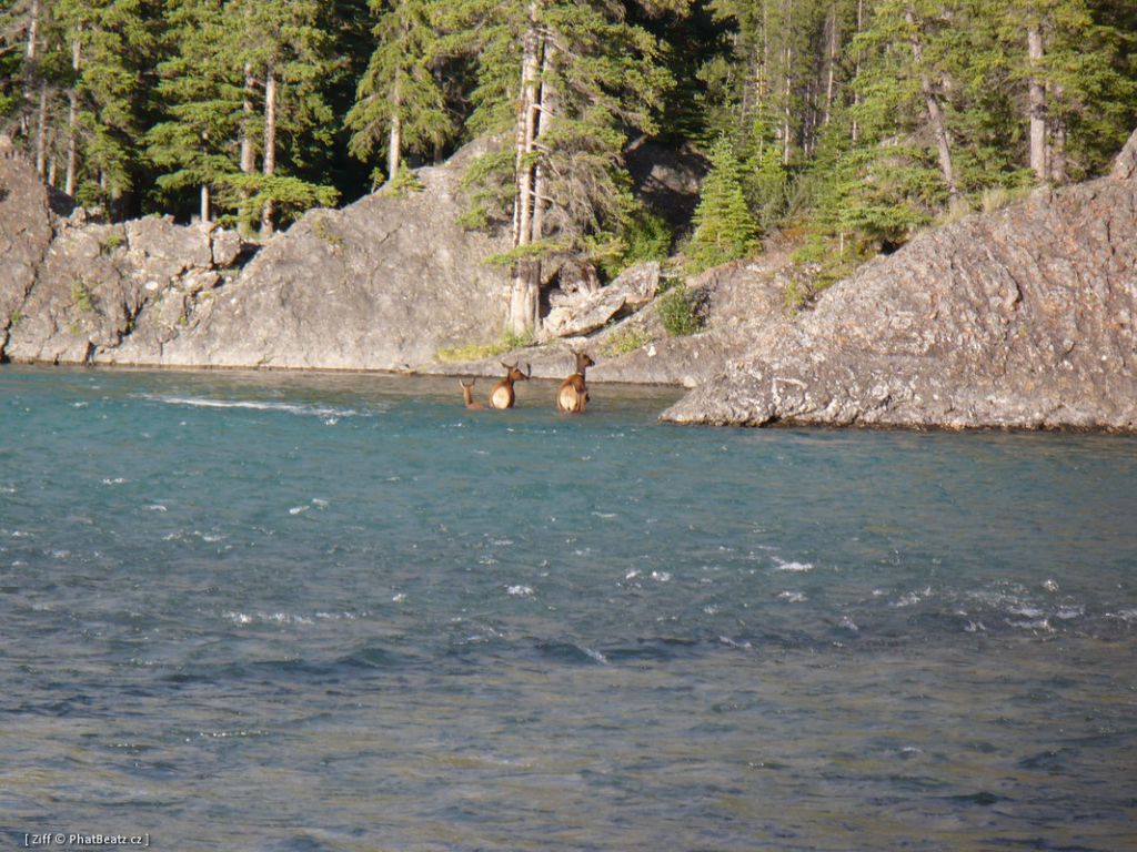 canada_013