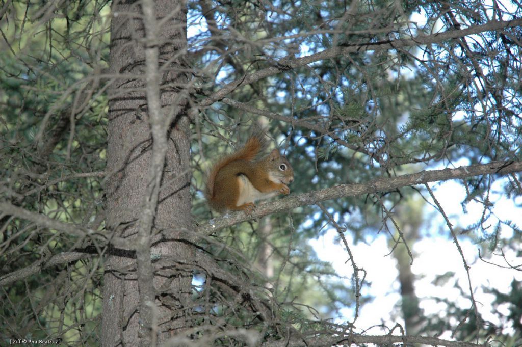 canada_015