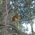 canada_015