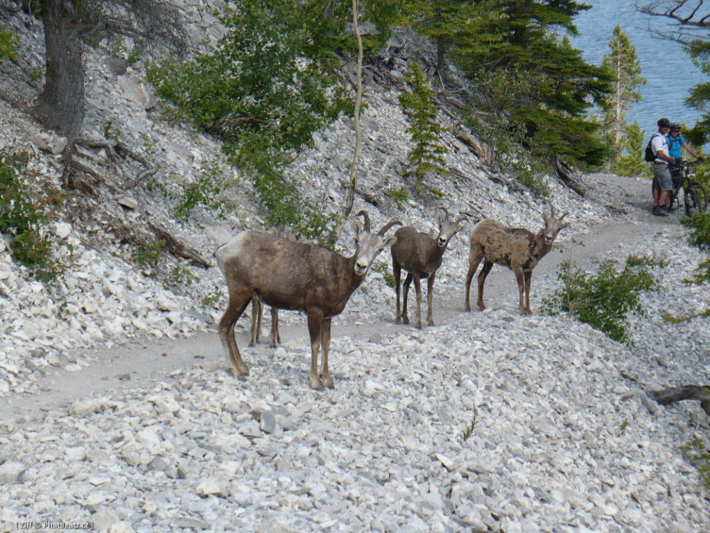 canada_016