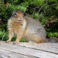 canada_017