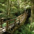 canada_047