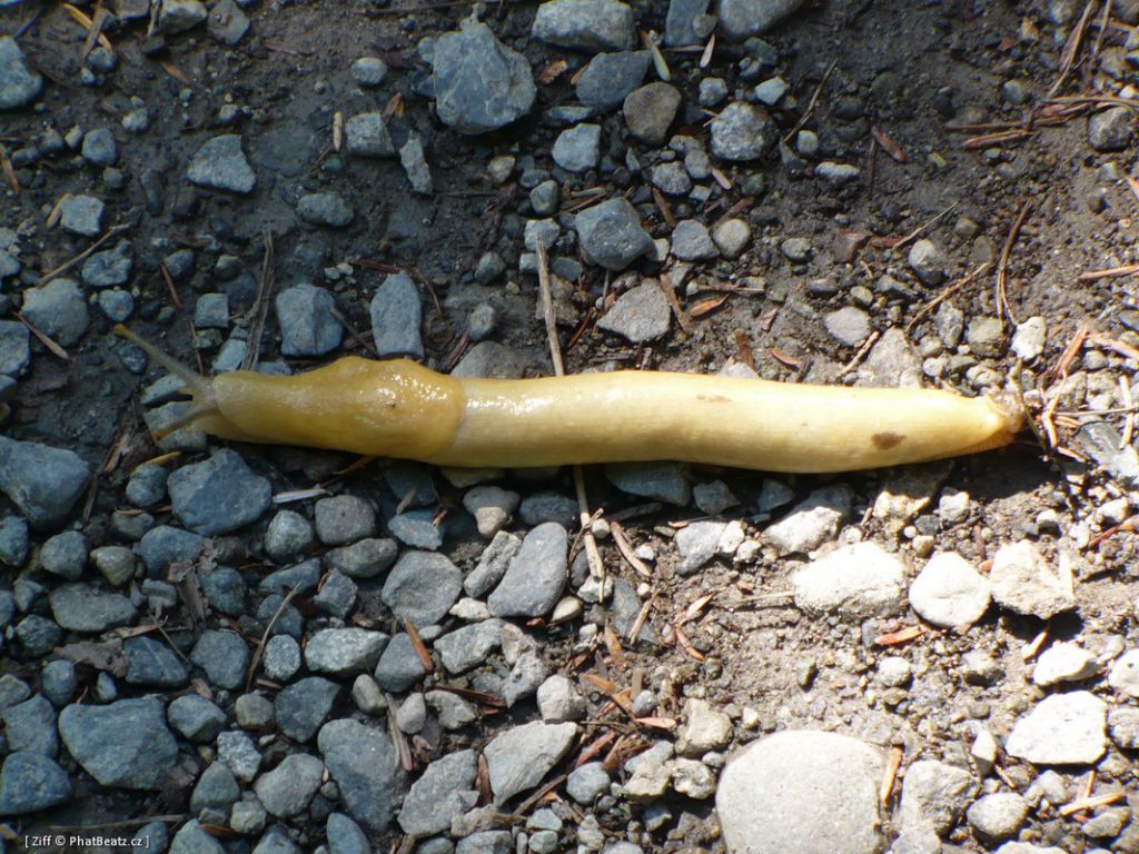 canada_048