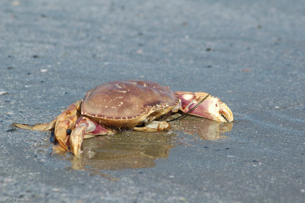 canada_052