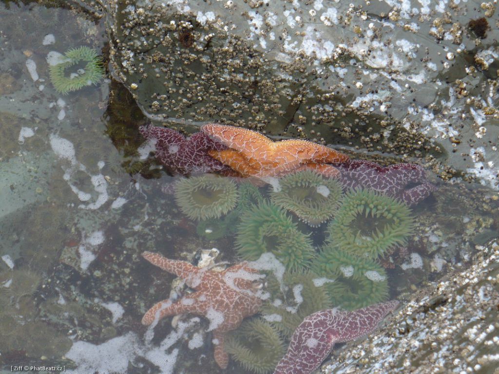 canada_054