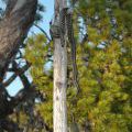 canada_056
