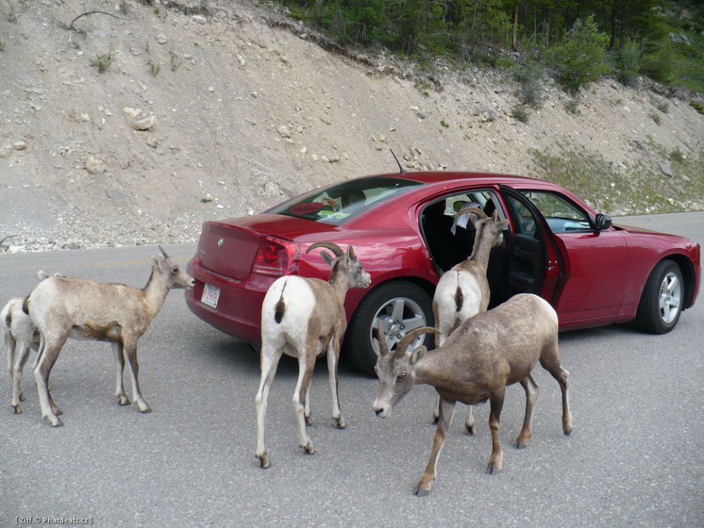 canada_062