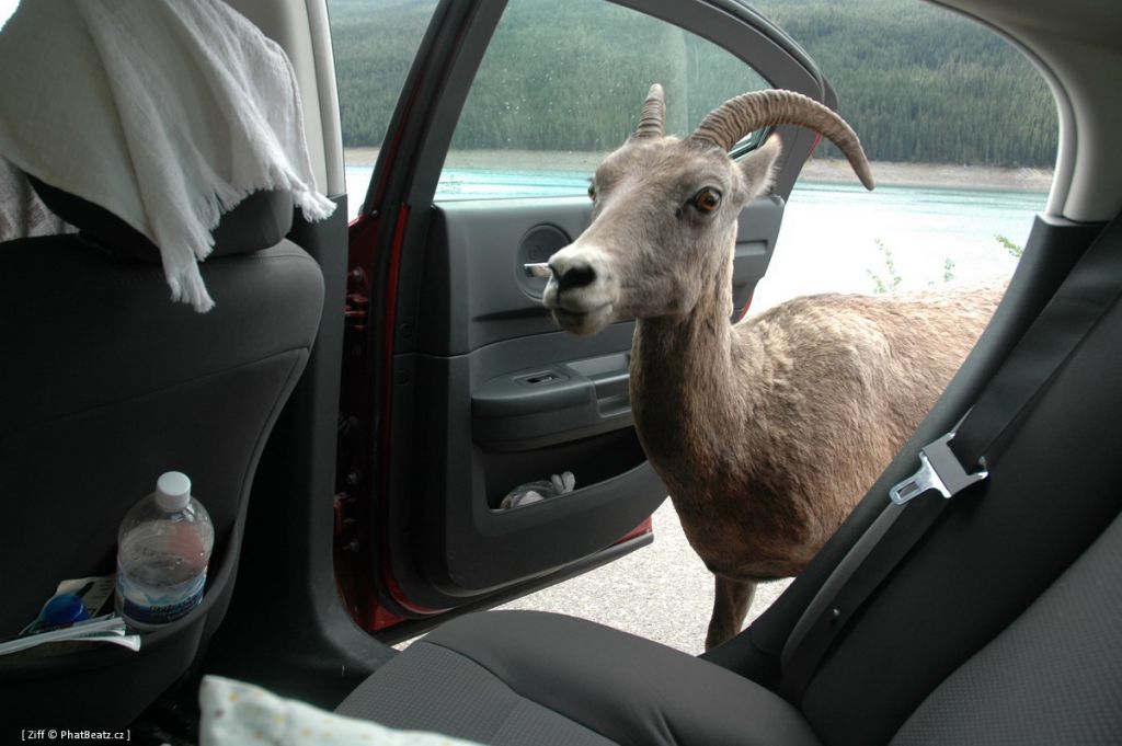 canada_063