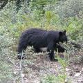 canada_065