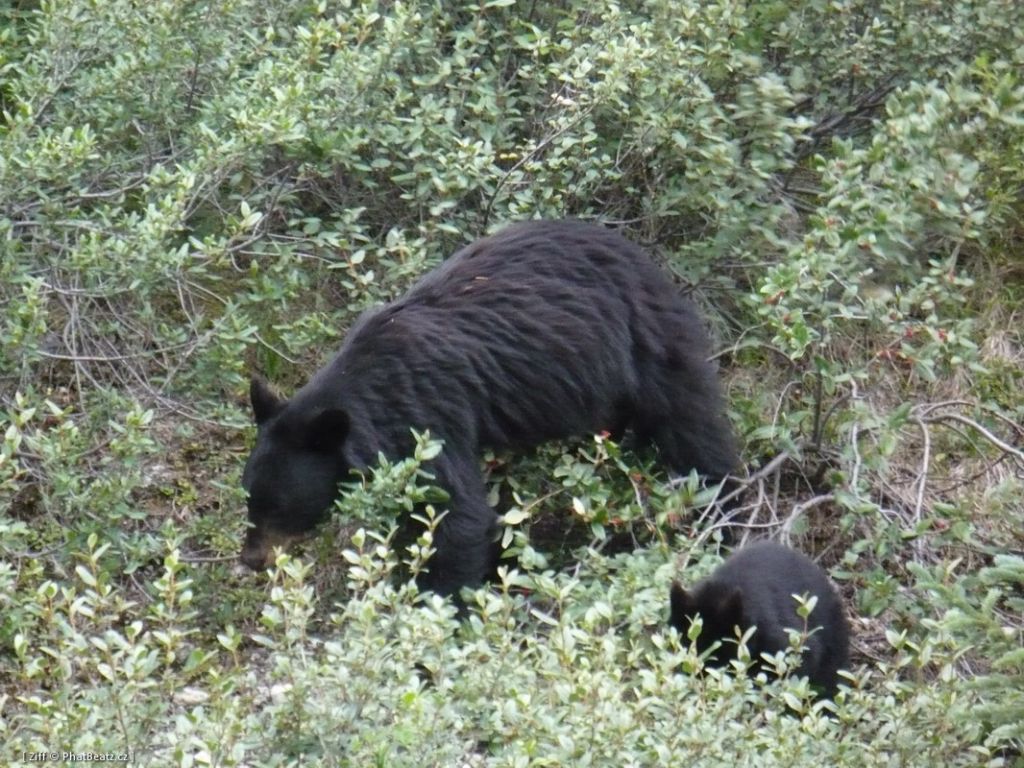 canada_066