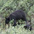 canada_066