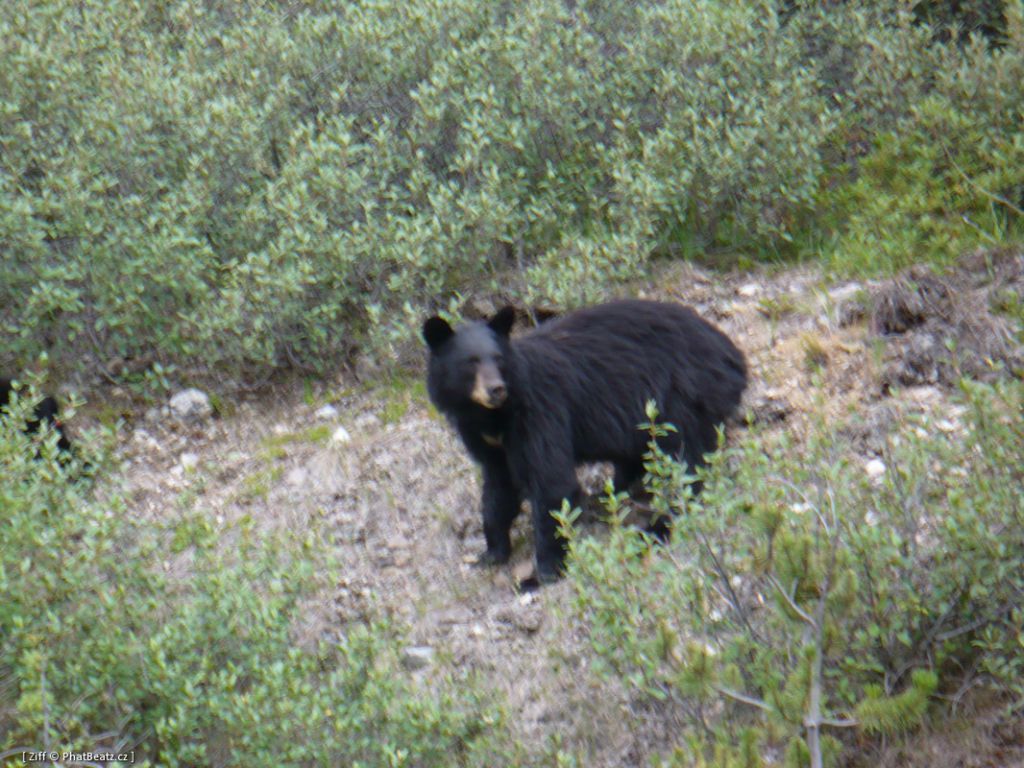 canada_067