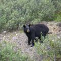 canada_067