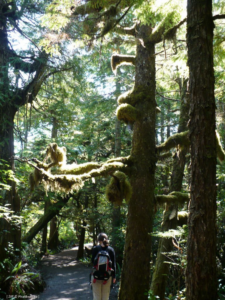 canada_085