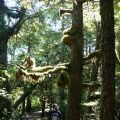 canada_085