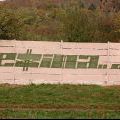 dosta17