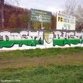 dostaQueens-13