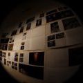 EPOS 257 - about a tree