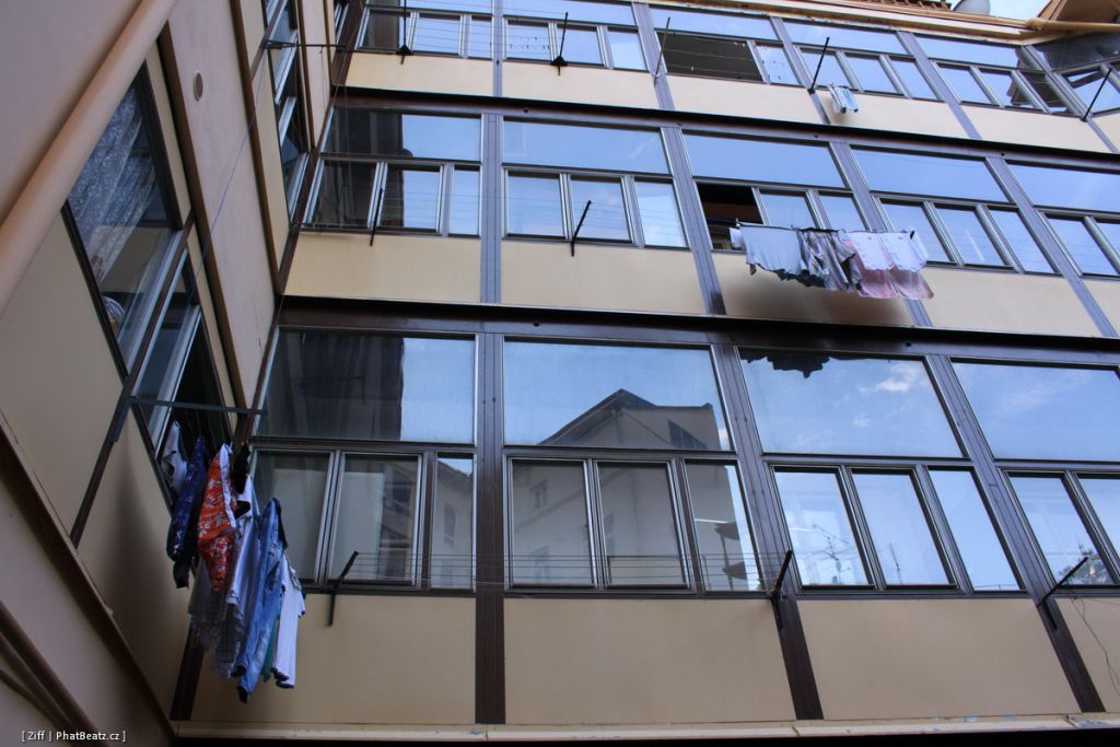 jeleni_008
