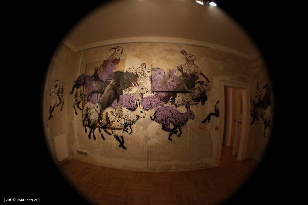 naproti_010