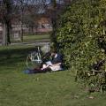 skane_029