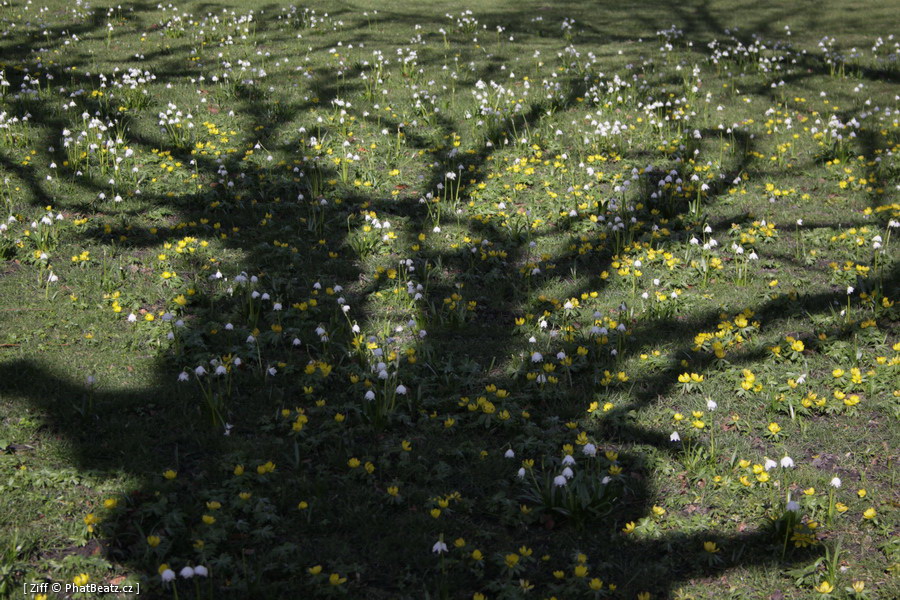 skane_031