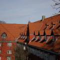 skane_038