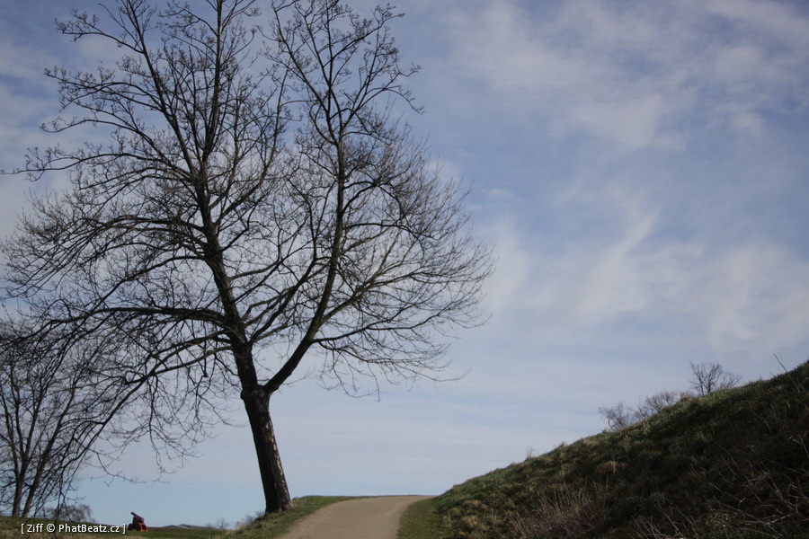 skane_041