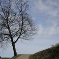 skane_041