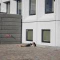 skane_047