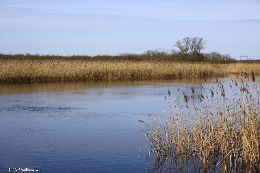 skane_064