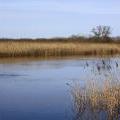 skane_064