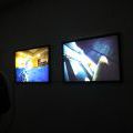trafo2011_0009